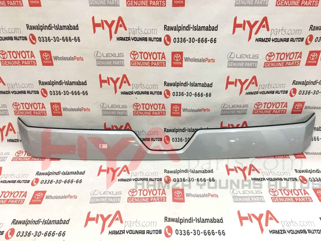 MOULDING ASSY, HOOD, FRONT