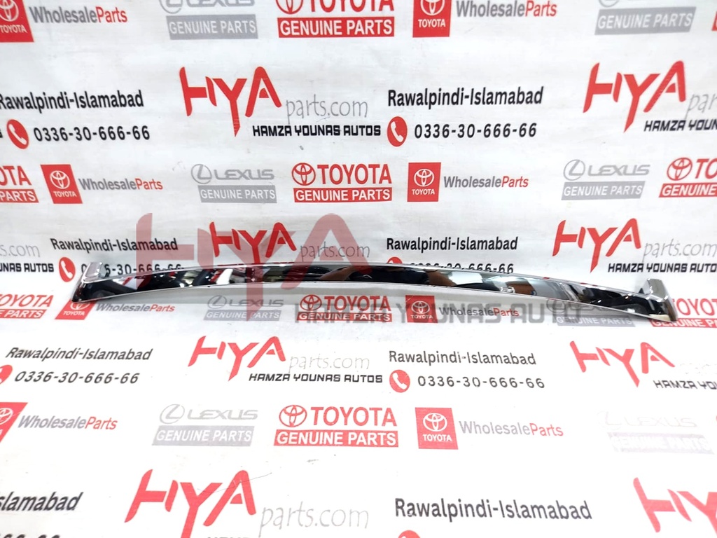 MOULDING ASSY, HOOD, FRONT