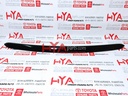 MOULDING ASSY, HOOD, FRONT