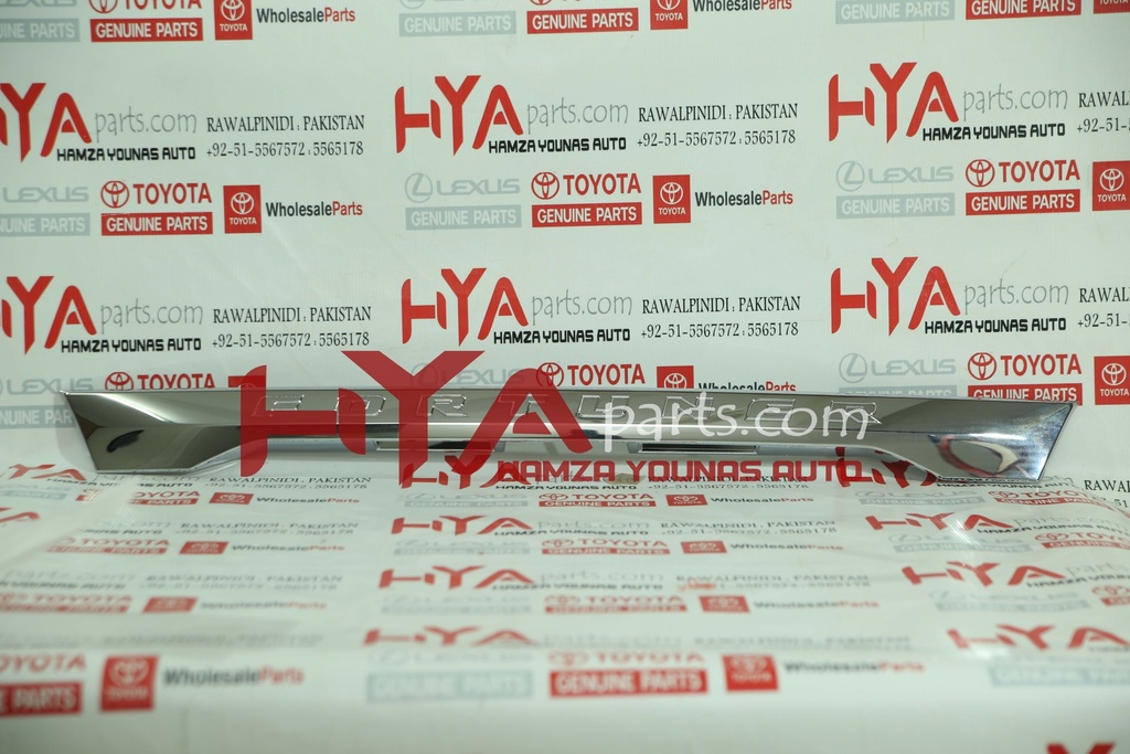 GARNISH SUB-ASSY, BACK DOOR, OUTSIDE