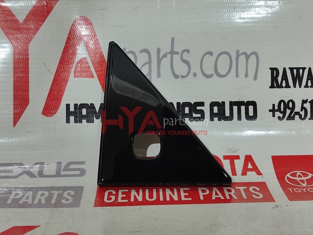 MOULDING, BACK DOOR OUTSIDE GARNISH, LOWER LH