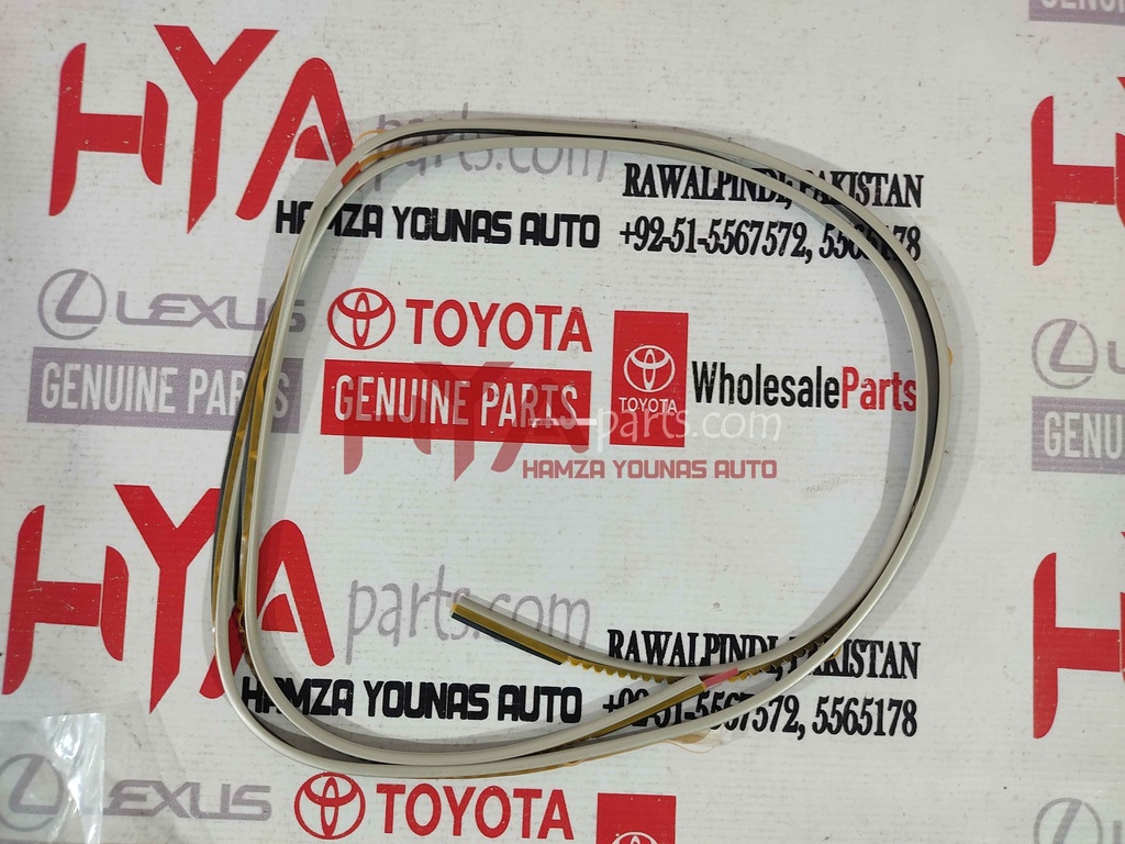 PROTECTOR, SIDE MUDGUARD, RH