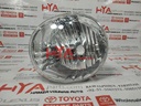 LAMP UNIT, FOG LAMP, LH