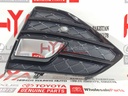 COVER, FOG LAMP, RH