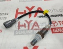 SENSOR, OXYGEN
