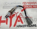SENSOR, OXYGEN
