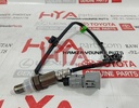 SENSOR, OXYGEN