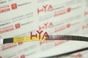 BELT, V