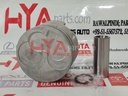PISTON SUB-ASSY, W/PIN (SIZE : STD)