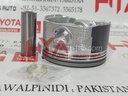 PISTON SUB-ASSY, W/PIN (SIZE : 0.50)
