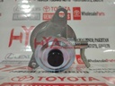 CAP ASSY, FUEL FILTER