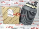 CYLINDER ASSY, PNEUMATIC, REAR RH