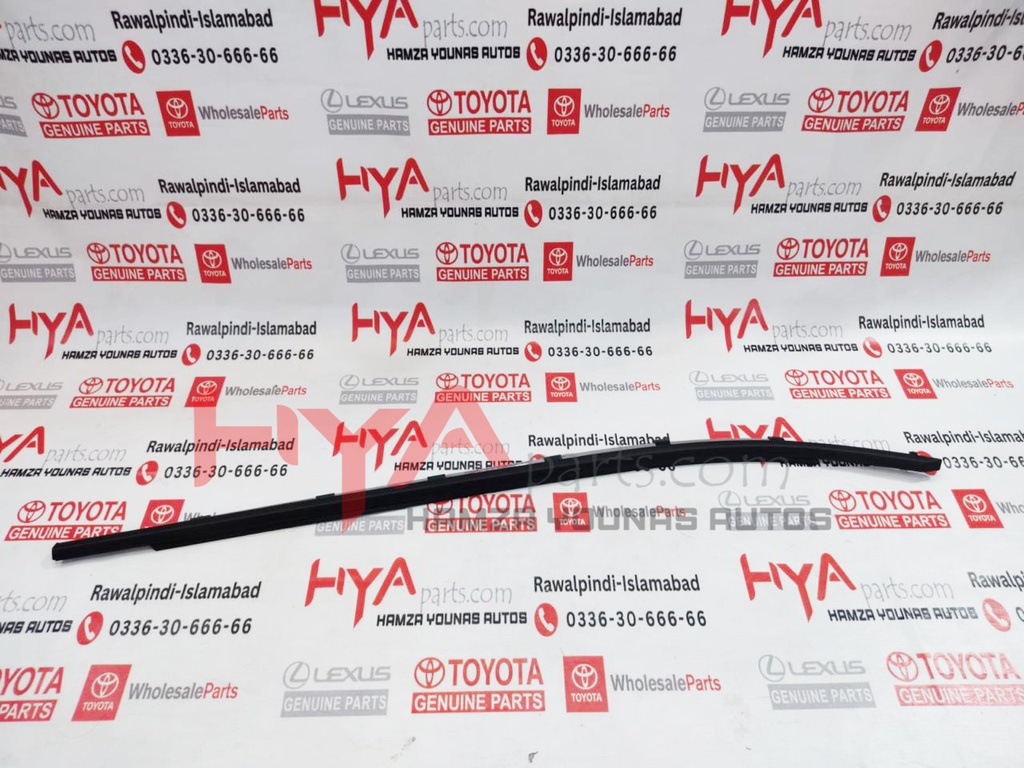 MOULDING ASSY, FRONT DOOR BELT, LH