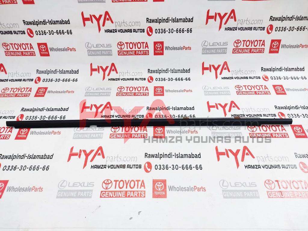 MOULDING ASSY, REAR DOOR BELT, LH