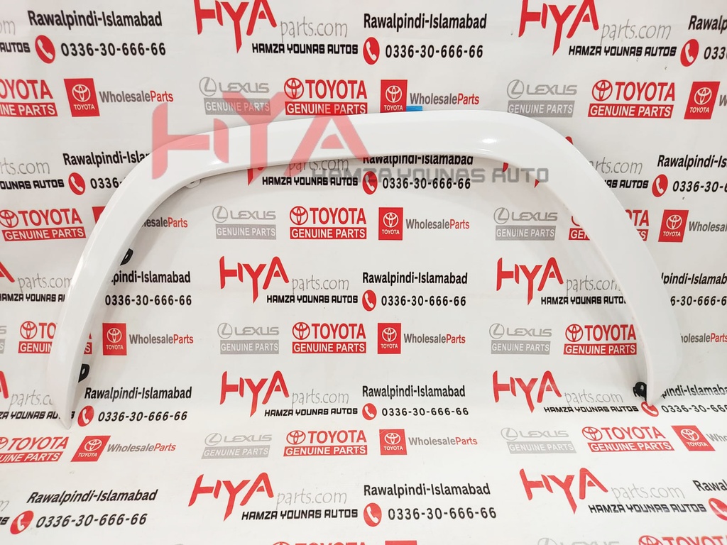 MOULDING SUB-ASSY, FRONT FENDER, LH