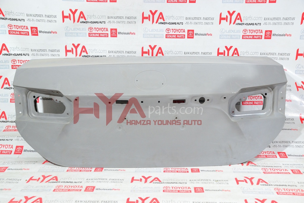 PANEL SUB-ASSY, LUGGAGE COMPARTMENT DOOR (TRUNK DOOR)