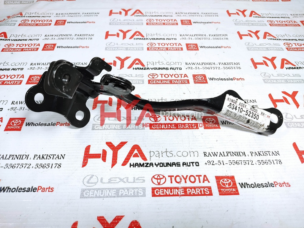 HINGE ASSY, HOOD, RH