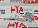 HINGE ASSY, HOOD, LH