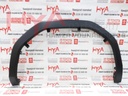 MOULDING SUB-ASSY, FRONT FENDER, LH