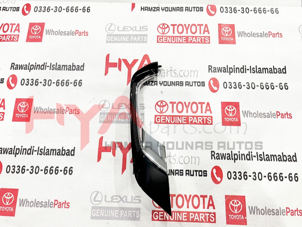 MOULDING SUB-ASSY, FRONT BUMPER SIDE, RH