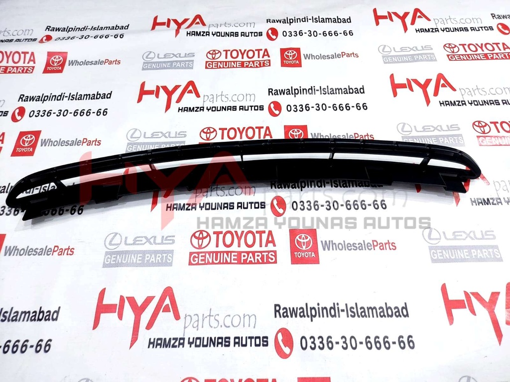 GRILLE, RADIATOR, LOWER