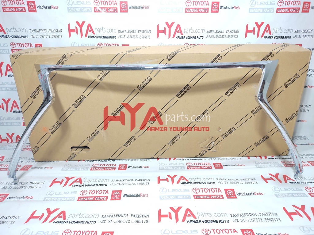 MOULDING, RADIATOR GRILLE, NO.1