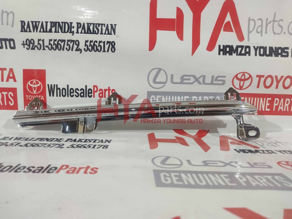 MOULDING, RADIATOR GRILLE, LOWER LH