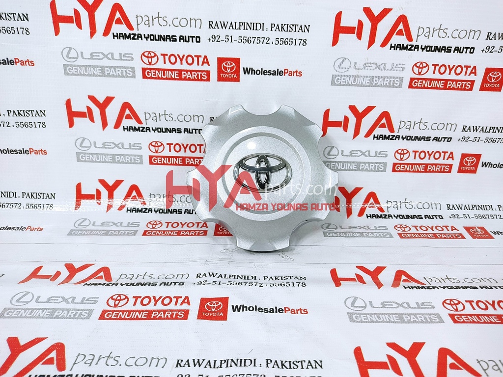 ORNAMENT SUB-ASSY, WHEEL HUB (WHEEL CAP)