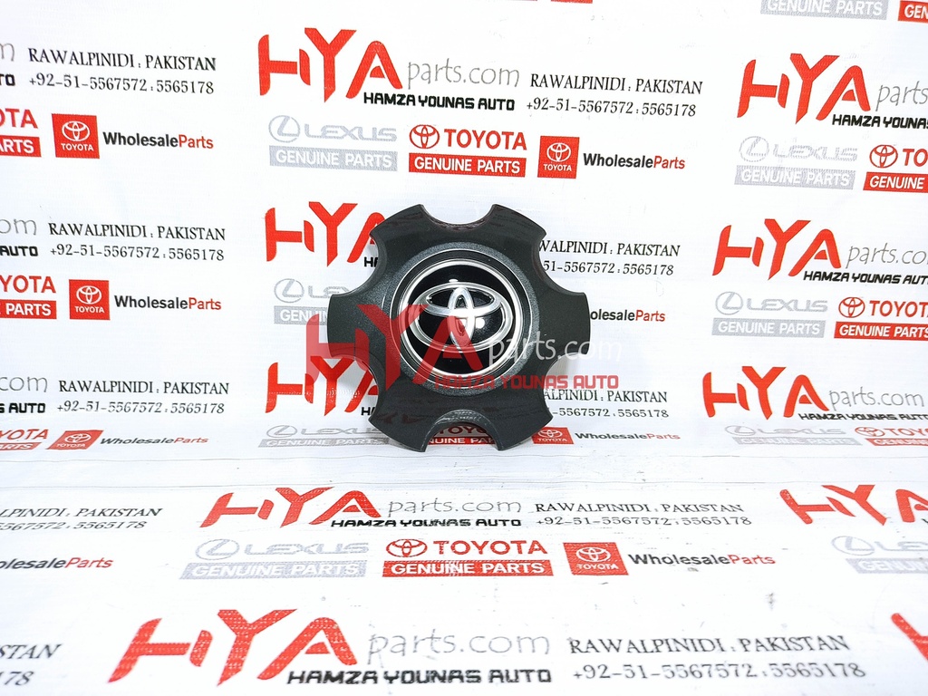 ORNAMENT SUB-ASSY, WHEEL HUB (WHEEL CAP)