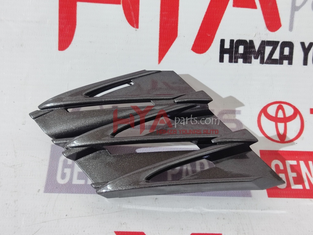 COVER, FRONT BUMPER HOLE, LH