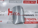 COVER, FRONT BUMPER HOLE, LH