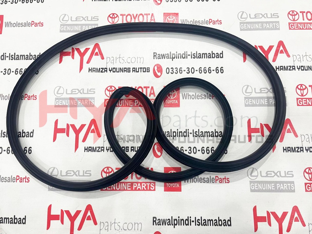 WEATHERSTRIP, BACK DOOR, NO.2